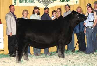 2017 3277 AAA# 18835578 SSF BLACKBIRD HORIZON 3254 P V F NEW HORIZON 001 S C C ROYAL BLACKBIRD 502 This calf is probably the freakier made of the too with a notch more shape.