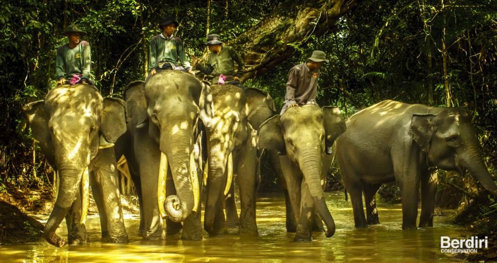 About the ERU of Way Kambas The ERU project activities are carried out in and around the Way Kambas National Park (WKNP) located on the southeastern coast of the Lampung Province in Sumatra,