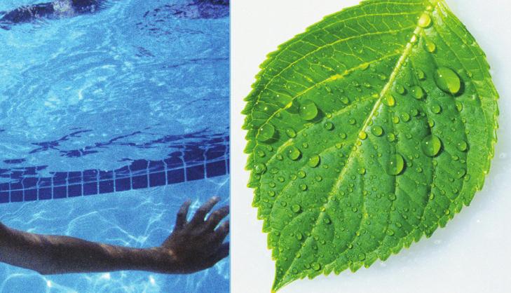 CIRCULATION BENEFITS THAT LAST THE LIFE OF YOUR POOL. ORDINARY POOL PCC 2000 SAVES HEAT ENERGY PCC 2000 SAVES CHEMICALS ENJOY CLEANER, HEALTHIER WATER. NO POORLY-CIRCULATED ALGAE-PRONE AREAS.