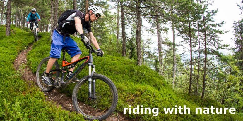 Gravity (like downhill and free riding style, speed, single track in natural areas) 2.