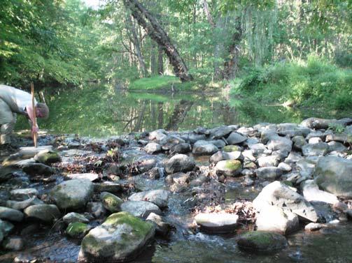 Field Data Summary Waterbody: Satterly Creek River Basin: Moodna Station: 089_009 Latitude: 4.466 WAA Site ID: WAA0008 Longitude: 74.