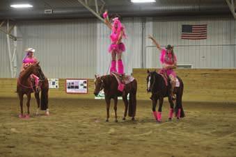National Reining Horse Association, had their hands full judging characters