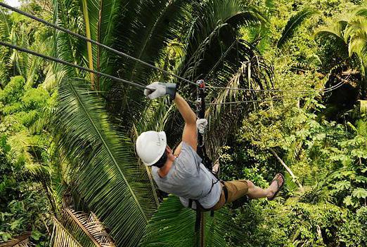 EXCURSIONS GO SEE BELIZE Bocawina Tour: Zip Line and Rappelling Bocawina Falls (Full Day) Zip along the longest zip line in Belize. It s over a mile and a half of zipping with a beautiful view.
