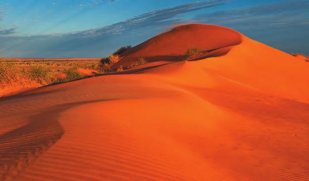The red sands of this desert reach almost to the Western Australia coast, where they join with the white sand of Eighty Mile Beach south of Broome.