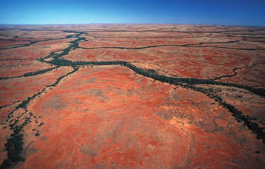Pedirka Desert The Pedirka Desert in South Australia is Australia s smallest desert, located north-east of Oodnadatta.