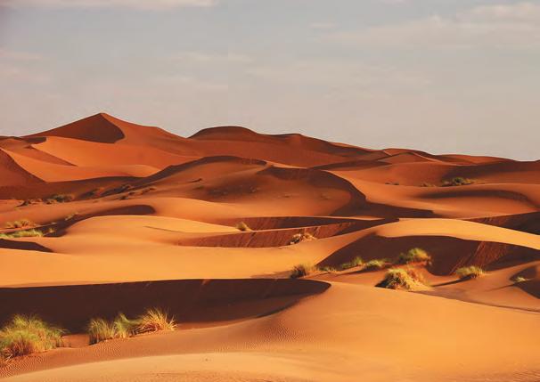 4.2 What is a desert? 4.2.1 Defining a desert A desert is a hot or cold region with little or no rainfall. Around one-third of the Earth s surface is desert and is home to about 300 million people.