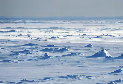 FIGURE 9 Although covered in frozen water, Antarctica receives little rain and is therefore classified as a desert. 4.