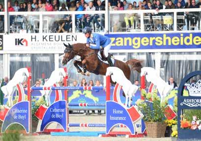 To heighten the level of information Zangersheide has again fixed a date for next year to show their stallions in Marl, which is on Wednesday evening the 22nd of February. Free entrance for everybody!