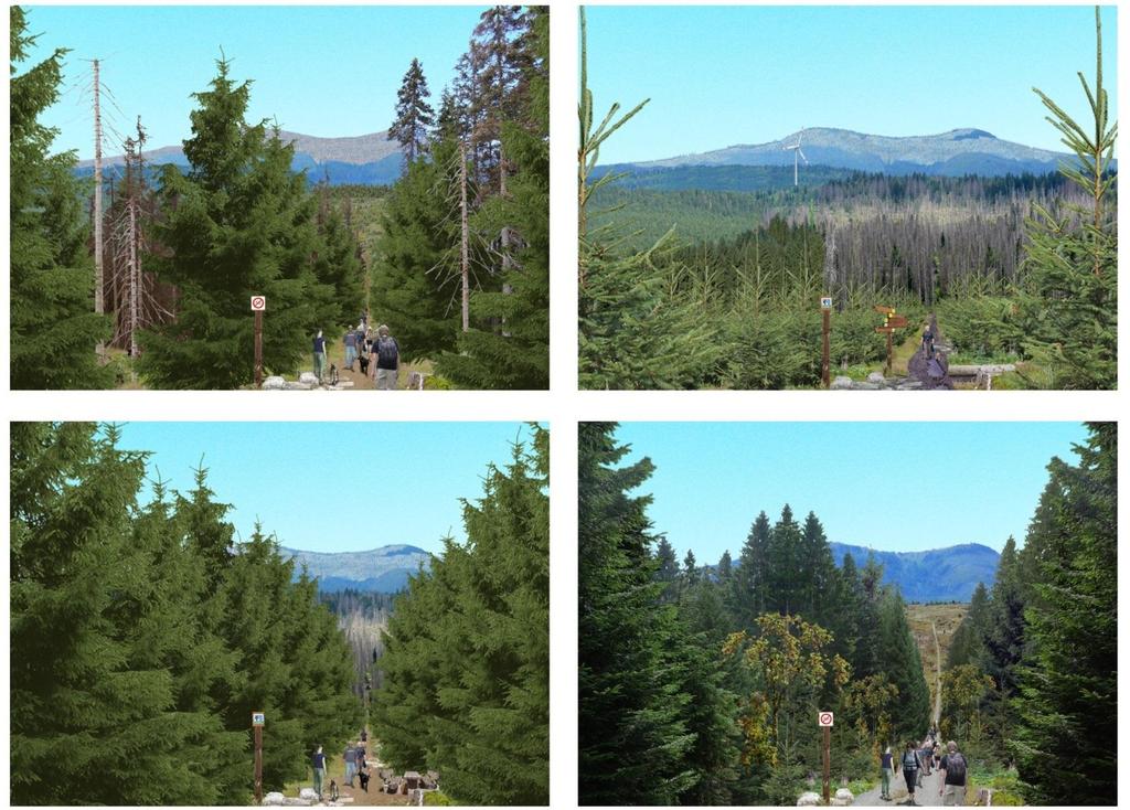 Current Survey Discrete Choice Model Landscape changes Recreational infrastructure