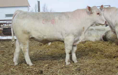 113 C-B ALL STATE 113 2/8/11 POLLED M809441 81 745 107 1276 109 3.