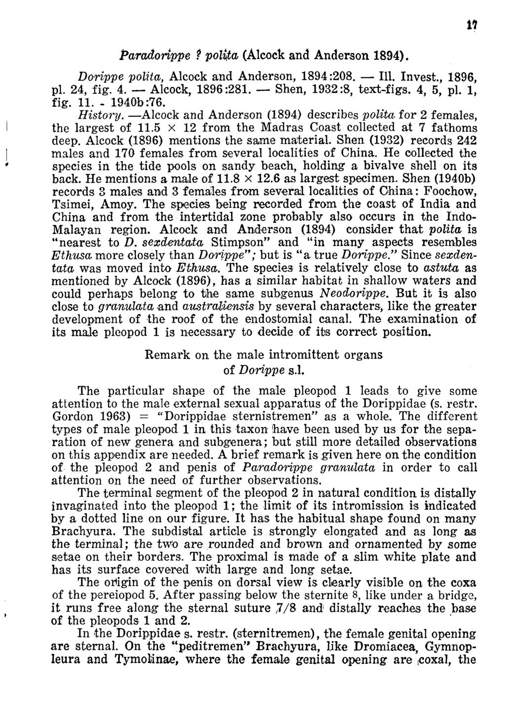 Paradorippe? polita (Alcock and Anderson 1894). Dorippe polita, Alcock and Anderson, 1894:208. 111. Invest., 1896, pi. 24, fig. 4. Alcock, 1896:281. Shen, 1932:8, text-figs. 4, 5, pi. 1, fig. 11. - 1940b:76.