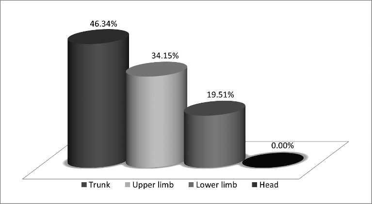 Figure 2. Sport injury by body segment in elite, visually impaired swimmers during competitions. swimmers (1.