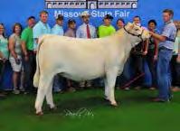 Flush & Replacement Heifers CREEK CUT GRETA 576P ET 9/2/2006 EF1059470 POLLED WCR SIR TRADITION 066 M633377 VCR MISS MAC IV 317 RLL GOIN PLACES 1329PET F950190 WCR SIR TRADITION 4402 IDEAL 809 45 OF