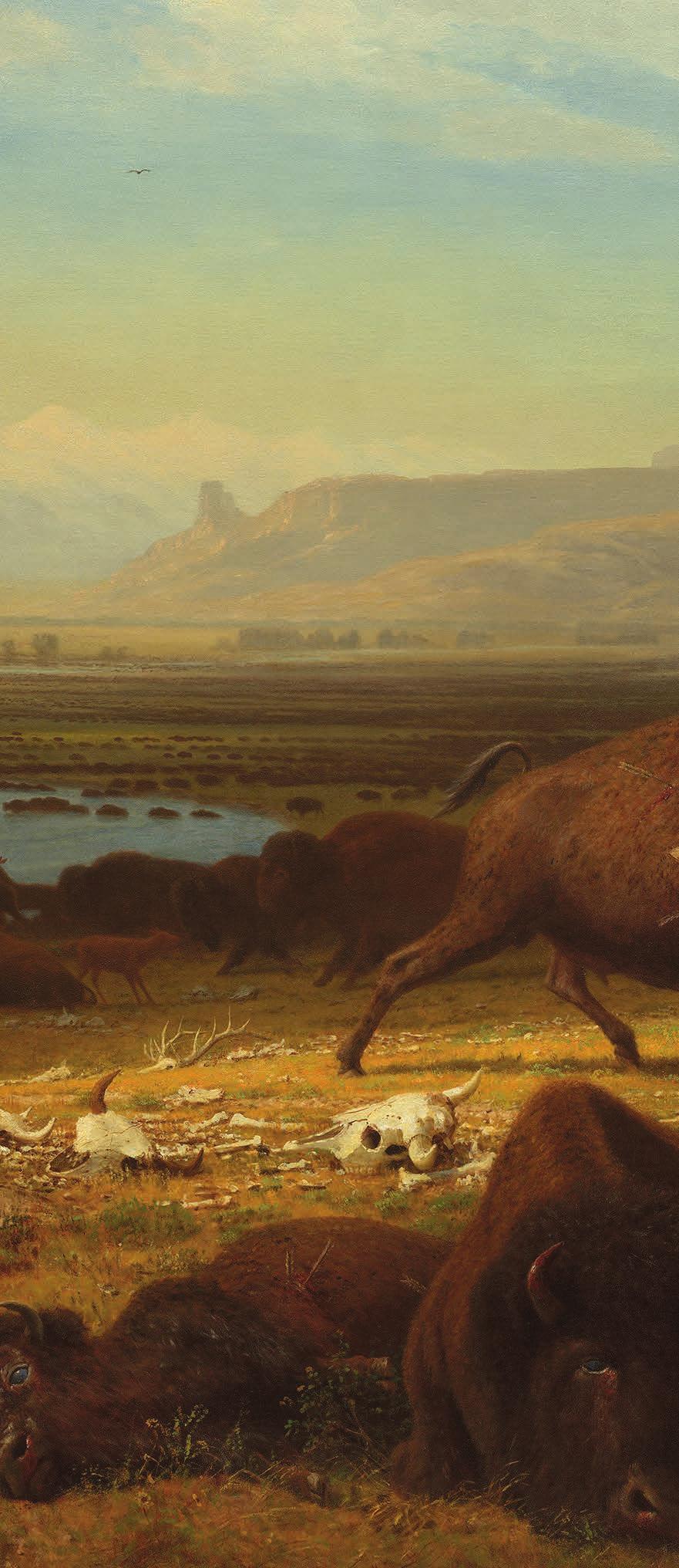 ONCE THEY HAD horses, the Plains Indians began to hunt on horseback. One well-aimed arrow could kill a buffalo weighing close to 2,000 pounds. The chase was dangerous.