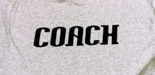 Sports Sessions Coach T-Shirt When all adult volunteers are wearing the