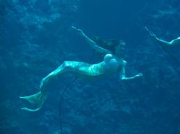 For over 70 years, the mermaid show at Weeki Wachee Springs has
