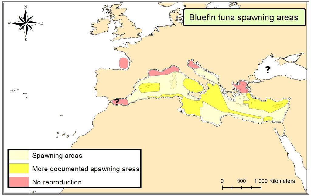 THE BASIC DATA FOR PHASE 4 The map of the known spawning areas (both well-documented or potential)