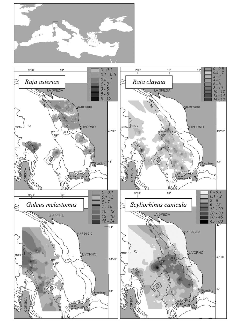 ABELLA and SERENA: Elasmobranch Catches from Research and Landings 347 Fig. 2.