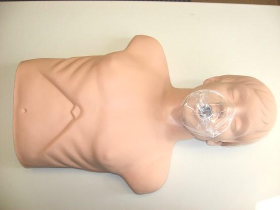 Adult CPR Check Scene: Check for safety, apply gloves and prepare face shield.