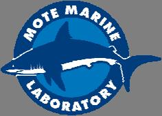 GUY HARVEY ULTIMATE SHARK CHALLENGE MOTE MARINE