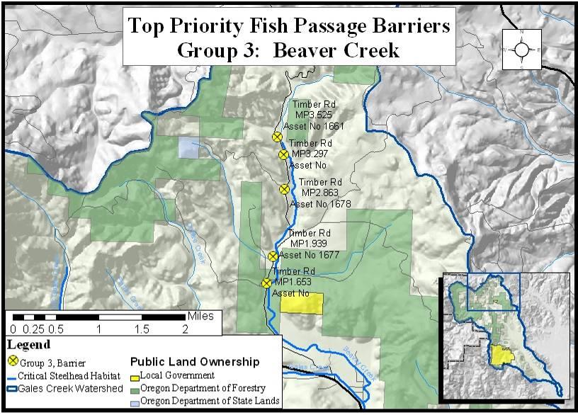 Group 3: Beaver Creek Subwatershed Group 3 is comprised of five barriers that inhibit migration in tributaries of Beaver Creek, blocking access to 5.86 miles of upstream habitat.
