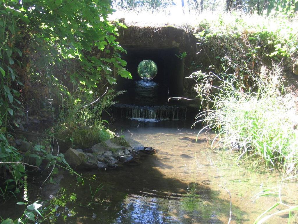 V. Conclusion The fish passage assessment of Washington County owned barriers within the Gales Creek watershed is a continuation of the work established by the Dairy-McKay Fish Passage Assessment and