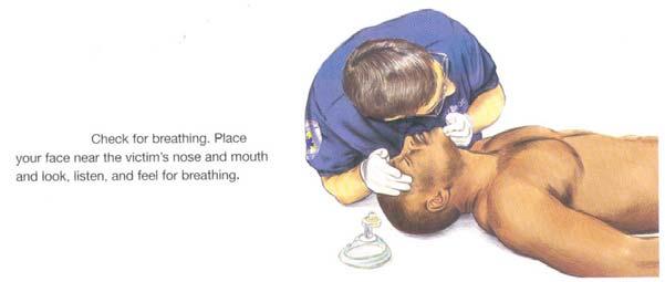 Fig.5 If victim is not breathing Provide 2-rescue breath, each breath should last for