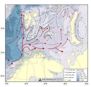 Figure 1 Circulation of the different water masses in the Barents Sea. Source: The main features of the circulation and bathymetry of the Barents Sea (PINRO/IMR report).