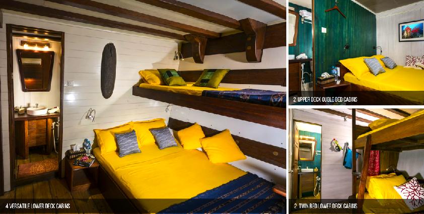 Ambai:Boat specification 8 air-conditioned double bed Cabins with ensuite bathroom and hot water * 32 m x 7,5 m * 16 divers * 12 crew members - 4 dive guides - 1 cruise