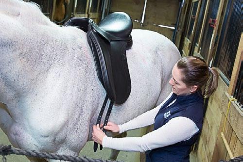 55 Points to Horse Measurements using the wither gauge and Arc Device include: length of saddle support area (SSA), width of spine, symmetry and size of shoulders, height, width and size of withers,
