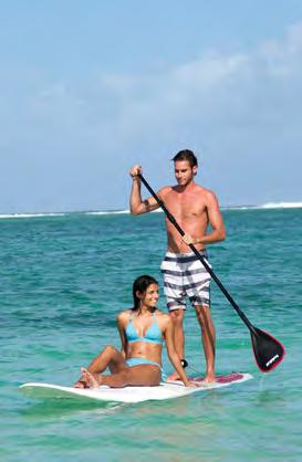 Wind-surfing Snorkeling Beach volley Pétanque Darts Table tennis Fitness room Aquagym At extra cost (nearby) Kitesurfing (one of the best spots in Mauritius) Diving (PADI) Banana