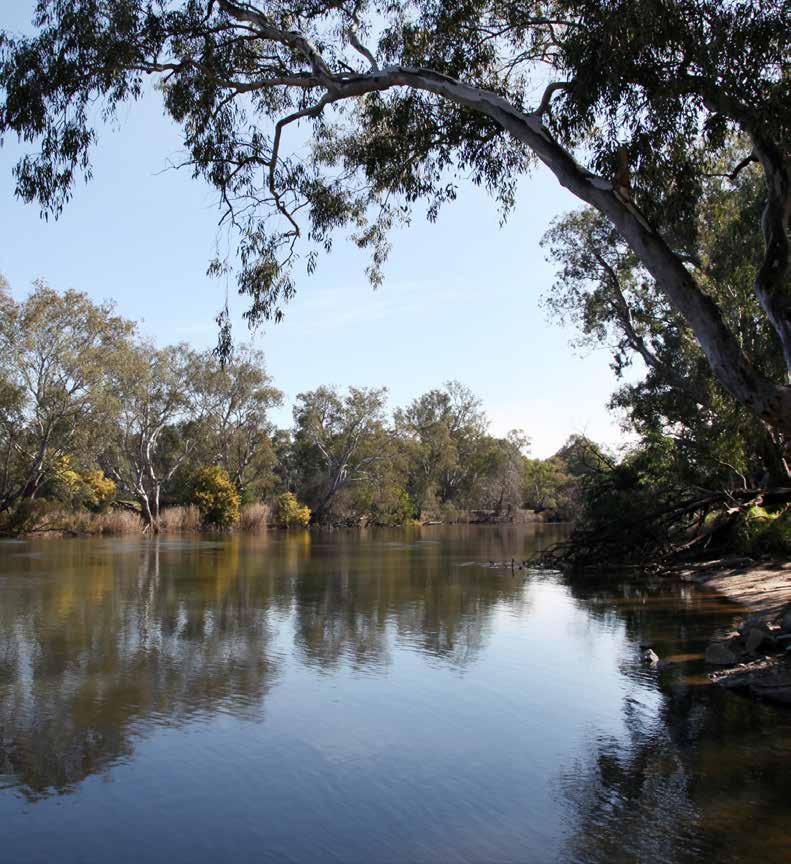 on the Murray River between July 22 and 3