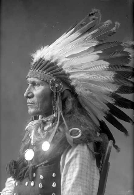 was Sitting Bull s deaf-mute stepson of Seen By Her