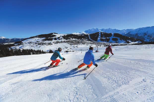 A winter wonderland, it combines the charm of its 6 ski-in ski out village resorts and the drive and innovation of its ski areas.