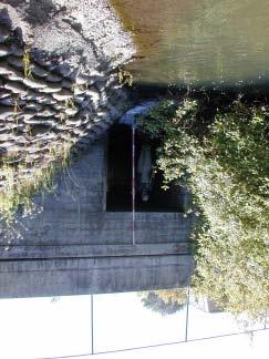1999-0203-008: San Pedro Creek (CA) Restoration