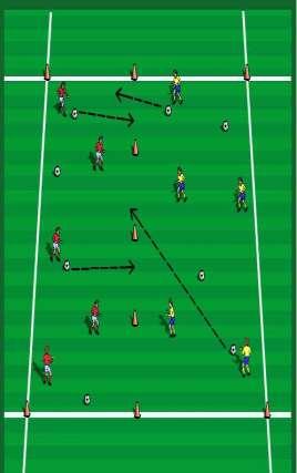 Clean Up the Yard Emphasis: Passing 20 x 20 yard grid. Divide into 2 teams, each player with a ball On coach's command. Players pass and shoot balls into other team's yard.