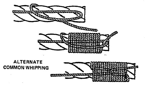 WHIPPINGS COMMON WHIPPING (Must tie in 15 minutes, neatness will be assessed) The general purpose of whipping is to prevent the end of a rope from fraying.