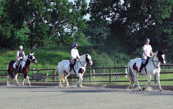 The BHS Progressive Riding Test series Progressive Riding Test Four: You will need to show your ability to name types of rugs, take care of the horse after exercise, know about shoeing and hooves and