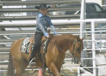 Nelson is a big 5 year old sorrel gelding that has been used on a ranch. He has sorted cows and roped on and used for every other type of ranch work.