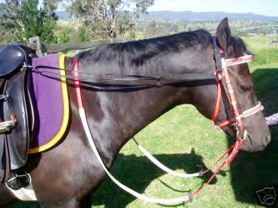 ADAPTIVE AIDS: GRASS OR DAISY REINS What it Does: Stops the reins from being loosened by being snatched from the riders grip