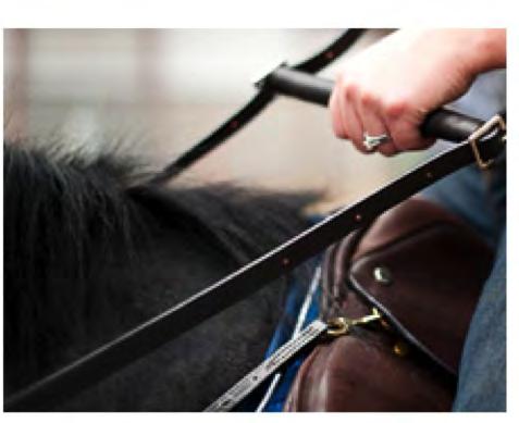 ADAPTIVE AIDS: REINS BAR Recommended for Riders