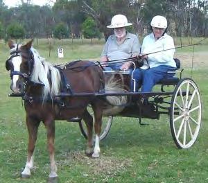 ADAPTIVE AIDS: CARRIAGE DRIVING What it Does; Develops therapeutic skills, confidence and self esteem