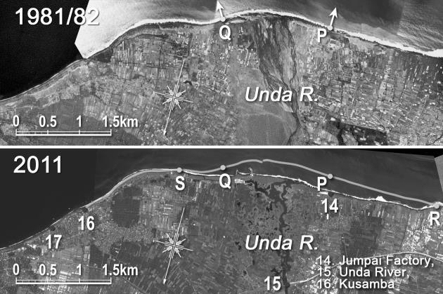 T. San-nami, et al. accumulated near the shoreline act as a groin that inhibits longshore sand transport and stabilizes the shoreline.