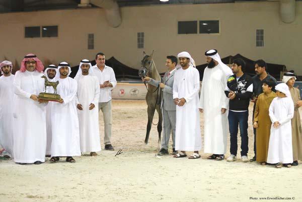 owner: MANDARA ARABIAN HORSE STUD
