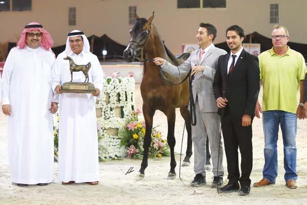 DUBAI ARABIAN HORSE STUD 126