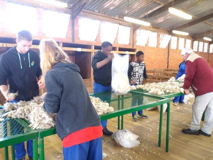 On 16 May twelve learners and two excited Agricultural staff members left for Bothaville to attend the annual harvest day.