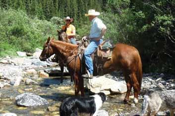 Ranch Horses 123 Lot 123 RENN COKEOLA LYNX AQHA # 5399539 BIRTHDATE: April 29, 2011 SIRE: COKEAPURPLE LYNX DAM: LALONI EXETER CONSIGNOR: Shawn and Jennifer Fisher For more information call:
