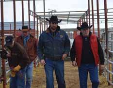 Gordon & Neal Church, AB C7C Ltd. Colin Creasy, AB Carry Ranching Inc.