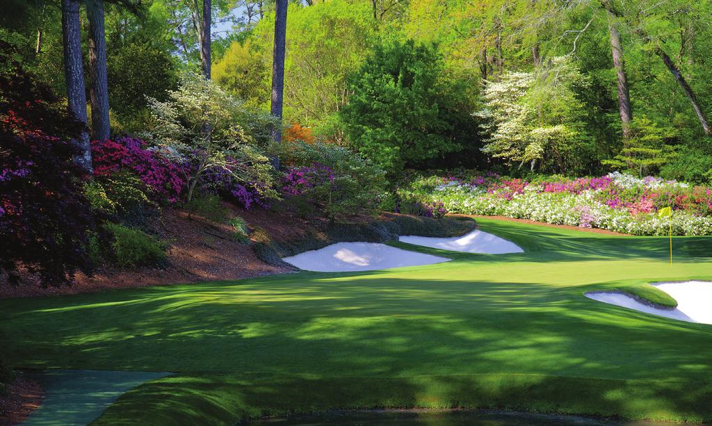 What to expect from 3D 3D will enhance the whole experience of the Masters.