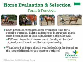 Slide 3 Discipline Speaker s Notes: There are many different types of riding or disciplines you can perform with your horse. Disciplines can be classified into two categories: Western and English.